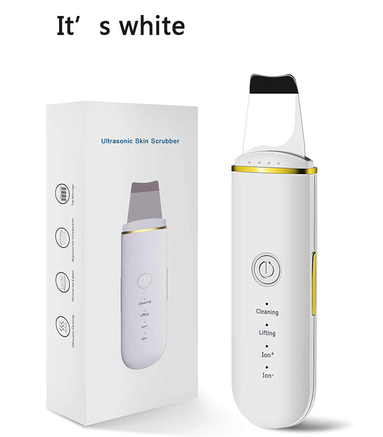 Electronic Beauty Instrument