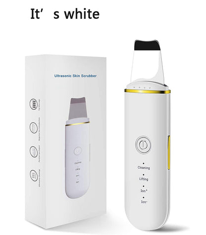 Electronic Beauty Instrument